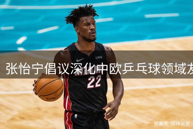 张怡宁倡议深化中欧乒乓球领域友好交流